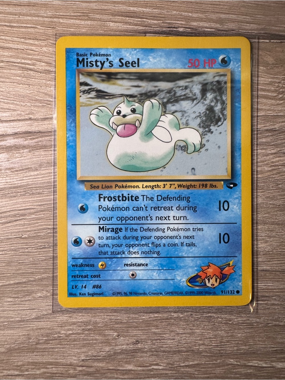 Misty's Seel #91- Pokemon Gym Challenge (3)